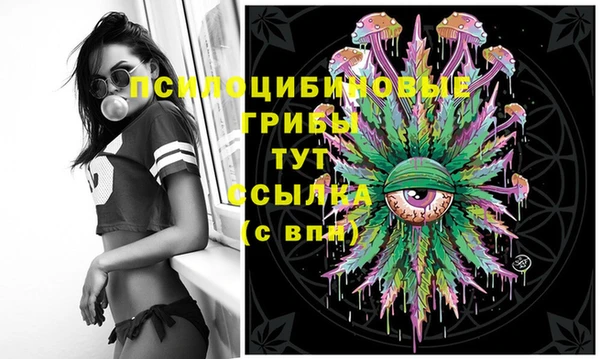 mdma Коряжма