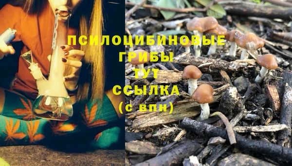 jwh Костерёво
